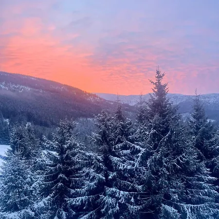 Close To The Clouds 木屋 *