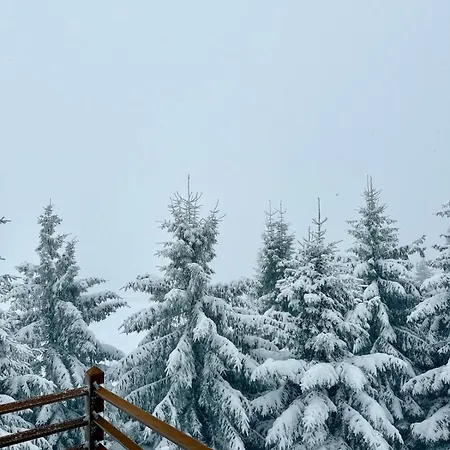 Close To The Clouds 木屋